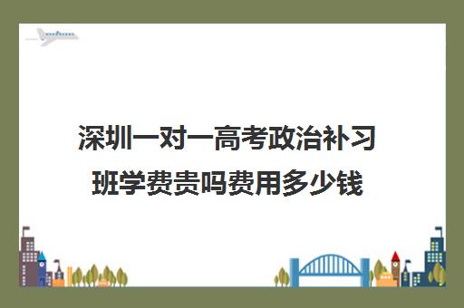 深圳一对一高考政治补习班学费贵吗费用多少钱