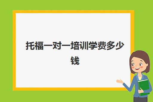 托福一对一培训学费多少钱(一对一托福培训很贵吗)