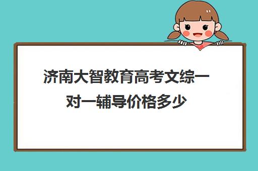 济南大智教育高考文综一对一辅导价格多少(济南大智艺考文化课辅导怎么样)