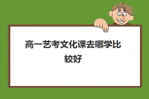 高一艺考文化课去哪学比较好(孩子高一想学艺术怎么选择)