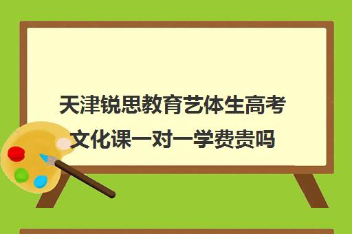 天津锐思教育艺体生高考文化课一对一学费贵吗（石家庄艺考文化课培训机构排名）