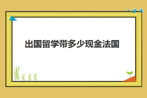 出国留学带多少现金法国(出国留学适合的银行卡)