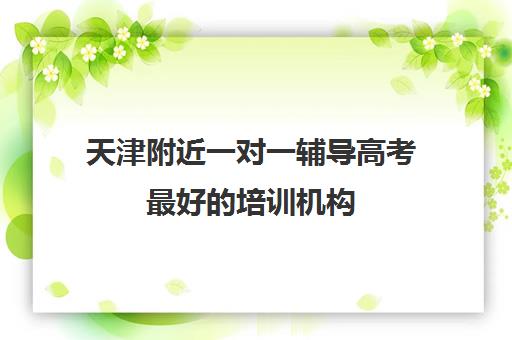 天津附近一对一辅导高考最好的培训机构(一对一辅导机构哪个好)