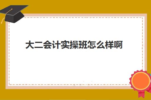 大二会计实操班怎么样啊(有必要报会计做账班吗)