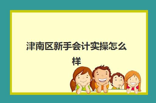 津南区新手会计实操怎么样(新手会计没人带怎么办)