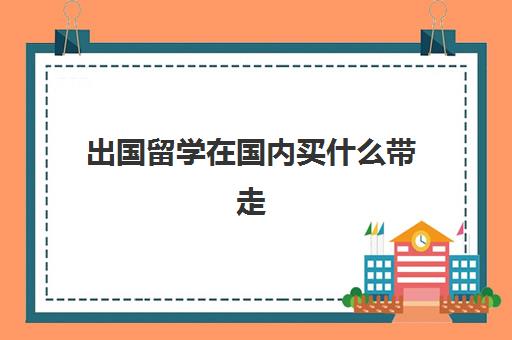 出国留学在国内买什么带走(境外留学保险怎么买)