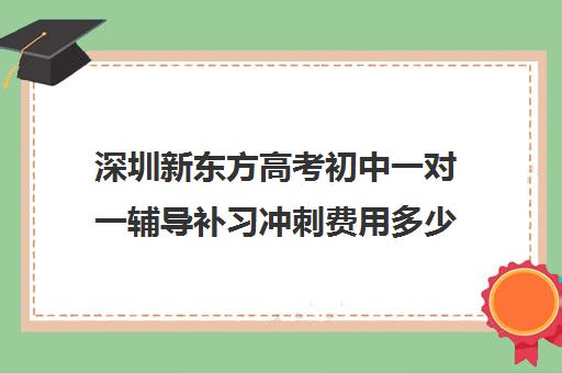 深圳新东方高考初中一对一辅导补习冲刺费用多少钱