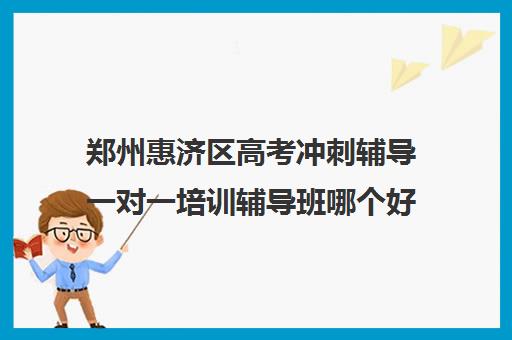 郑州惠济区高考冲刺辅导一对一培训辅导班哪个好(郑州高考一对一辅导)