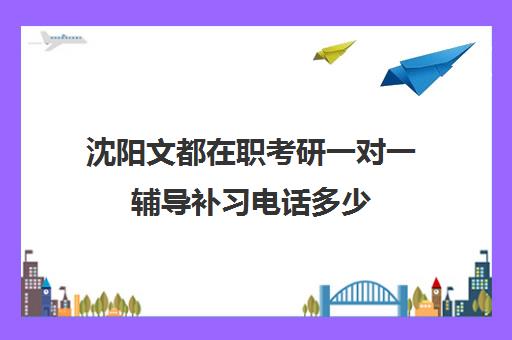 沈阳文都在职考研一对一辅导补习电话多少