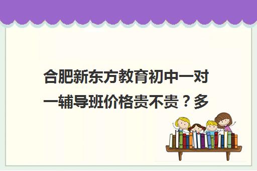 合肥新东方教育初中一对一辅导班价格贵不贵？多少钱一年(新东方初中一对一收费价格表