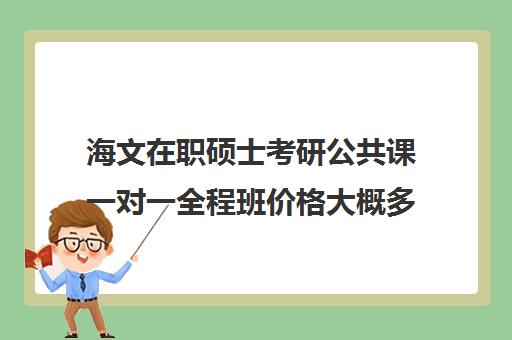 海文在职硕士考研公共课一对一全程班价格大概多少钱（在职研究生辅导机构哪个比较好）