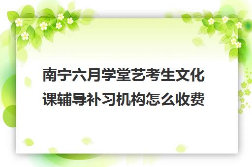 南宁六月学堂艺考生文化课辅导补习机构怎么收费