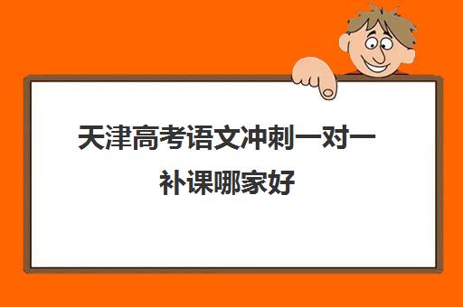 天津高考语文冲刺一对一补课哪家好(天津高中补课机构)