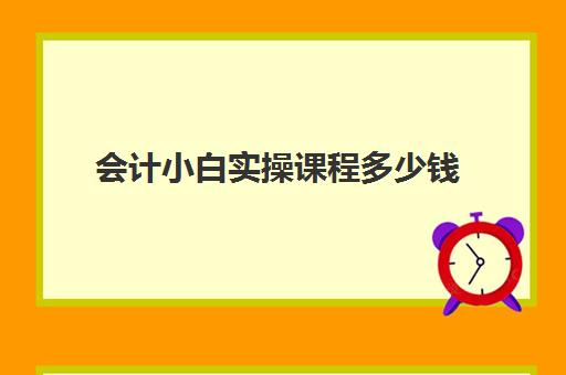 会计小白实操课程多少钱(小白学会计初级要多久)