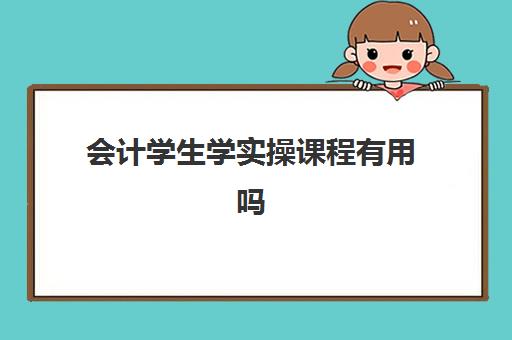 会计学生学实操课程有用吗(学会计是去培训班还是网上)