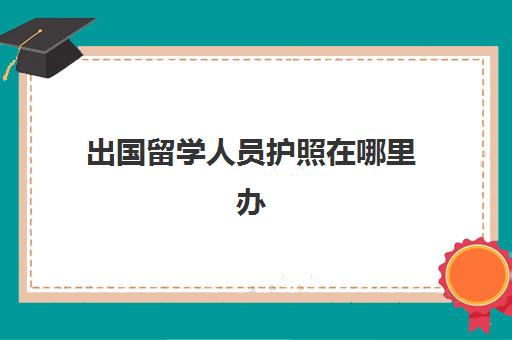 出国留学人员护照在哪里办(出国办护照需要什么材料)