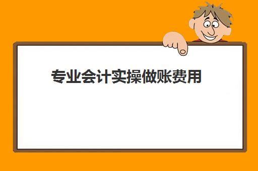 专业会计实操做账费用(会计实务做账教程免费)