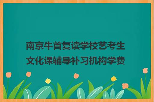 南京牛首复读学校艺考生文化课辅导补习机构学费贵吗