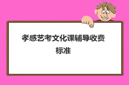 孝感艺考文化课辅导收费标准(艺考培训收费标准合集)