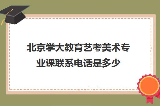 北京学大教育艺考美术专业课联系电话是多少（北大有没有美术专业）