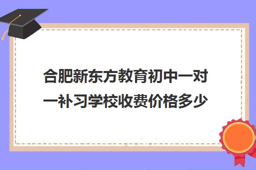 合肥新东方教育初中一对一补习学校收费价格多少钱