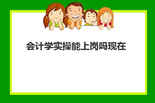 会计学实操能上岗吗现在(没学过会计直接工作难吗)