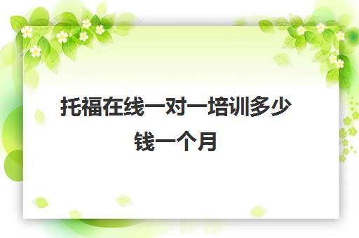 托福在线一对一培训多少钱一个月(三个月托福100分)