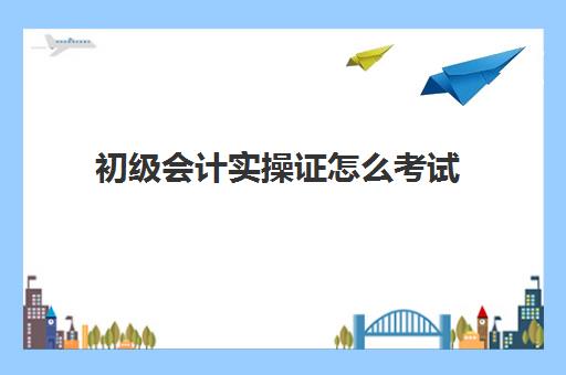 初级会计实操证怎么考试(会计证怎么考初级)