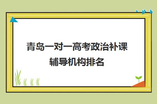 青岛一对一高考政治补课辅导机构排名