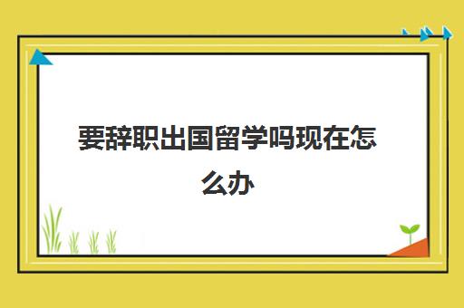 要辞职出国留学吗现在怎么办(没有学历可以留学吗)