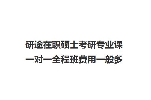 研途在职硕士考研专业课一对一全程班费用一般多少钱（在职研究生哪个培训机构好）