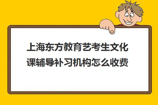 上海东方教育艺考生文化课辅导补习机构怎么收费