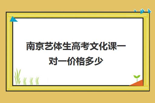 南京艺体生高考文化课一对一价格多少(艺考生补文化课哪里好)