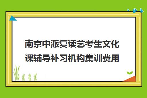 南京中派复读艺考生文化课辅导补习机构集训费用多少钱