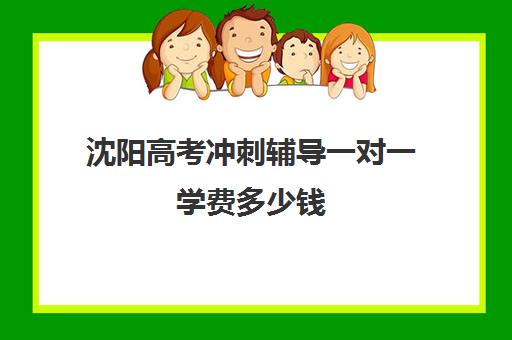 沈阳高考冲刺辅导一对一学费多少钱(精锐一对一收费标准)