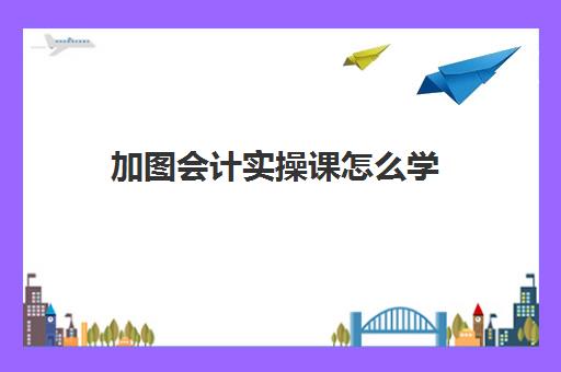 加图会计实操课怎么学(会计初学者的入门知识基础教程)