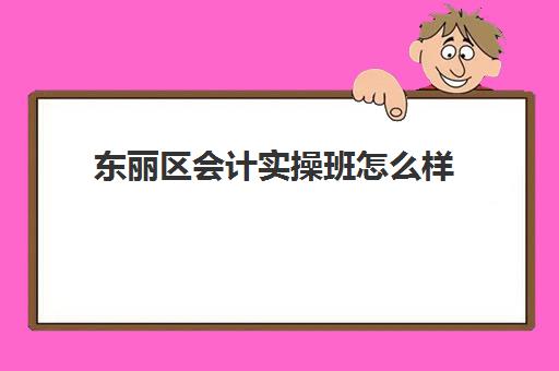 东丽区会计实操班怎么样(会计培训班出来可以找到工作吗)