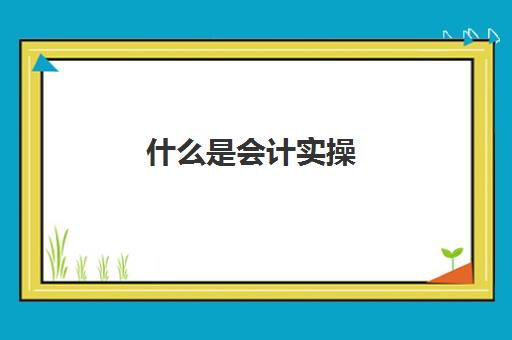 什么是会计实操(理论是什么意思)