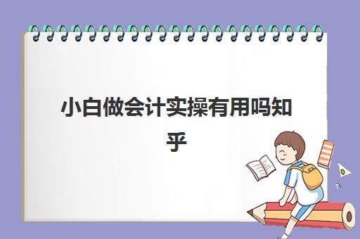 小白做会计实操有用吗知乎(电脑小白去知乎好还是贴吧)