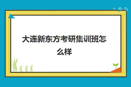 大连新东方考研集训班怎么样(大连领先考研培训学校)