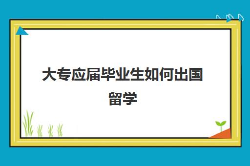 大专应届毕业生如何出国留学(大专生可以申请出国留学吗)