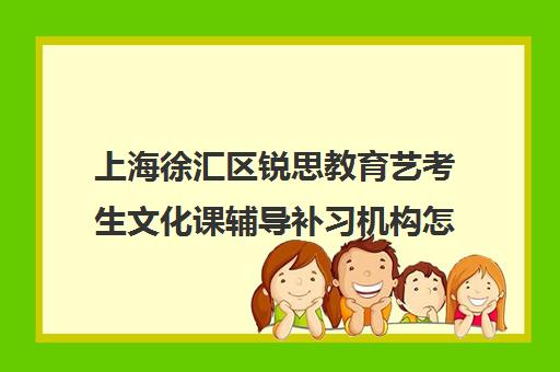 上海徐汇区锐思教育艺考生文化课辅导补习机构怎么收费