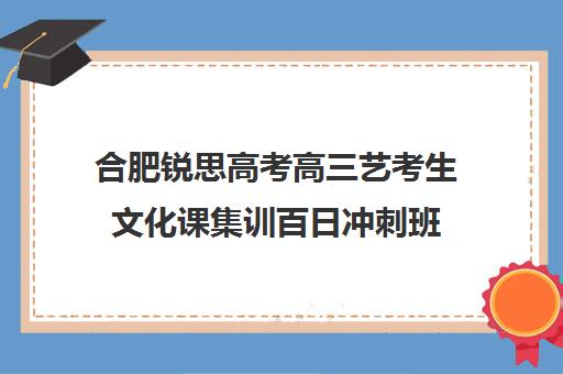 合肥锐思高考高三艺考生文化课集训百日冲刺班(艺考生文化课分数线)