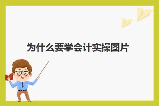 为什么要学会计实操图片(会计掌握的基本技能)