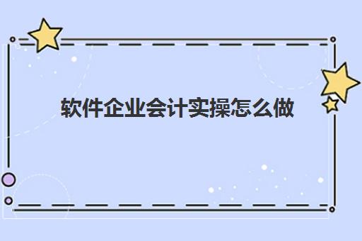 软件企业会计实操怎么做(会计核算软件有哪些)