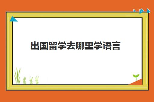 出国留学去哪里学语言(哪个网站可以教外国人学中文)