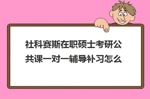 社科赛斯在职硕士考研公共课一对一辅导补习怎么收费