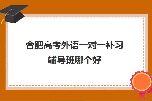 合肥高考外语一对一补习辅导班哪个好