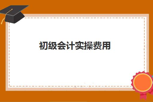 初级会计实操费用(初级会计证考试费用多少钱)