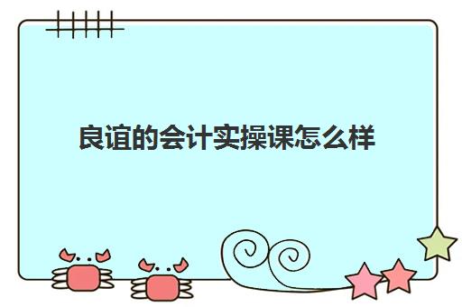 良谊的会计实操课怎么样(仁和会计和会计学堂哪个好些)